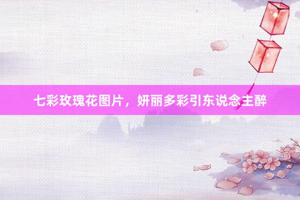 七彩玫瑰花图片，妍丽多彩引东说念主醉